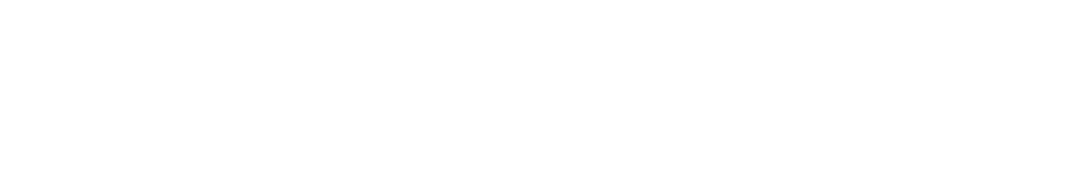 ALUZZION Marketing Group