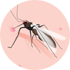 Mosquito-icon
